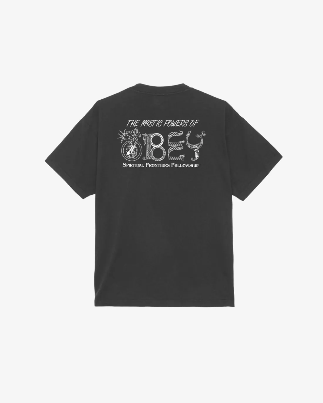 MYSTIC POWERS HEAVYWEIGHT T-SHIRT*OBEY Clothing Clearance