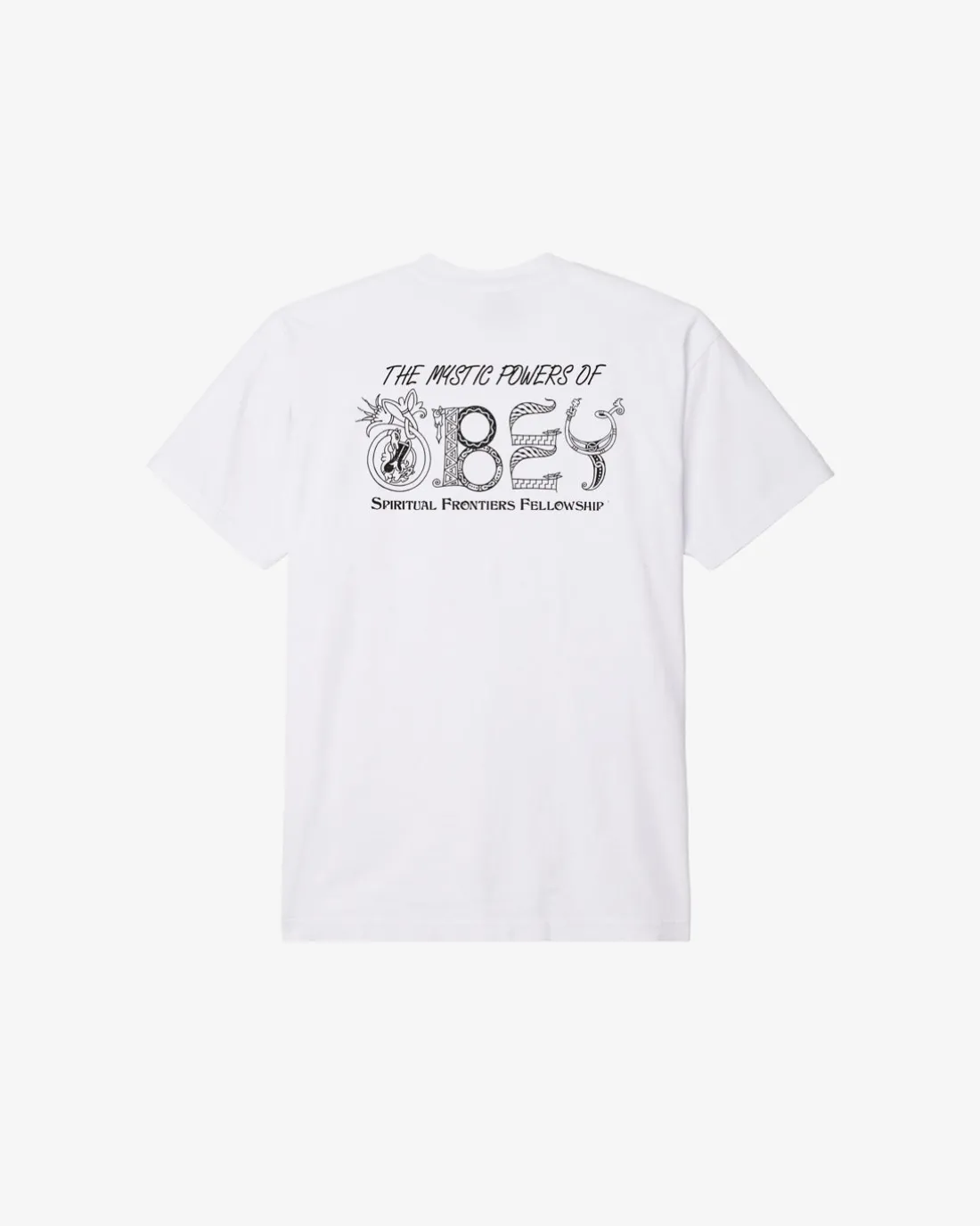 MYSTIC POWERS HEAVYWEIGHT T-SHIRT*OBEY Clothing Clearance