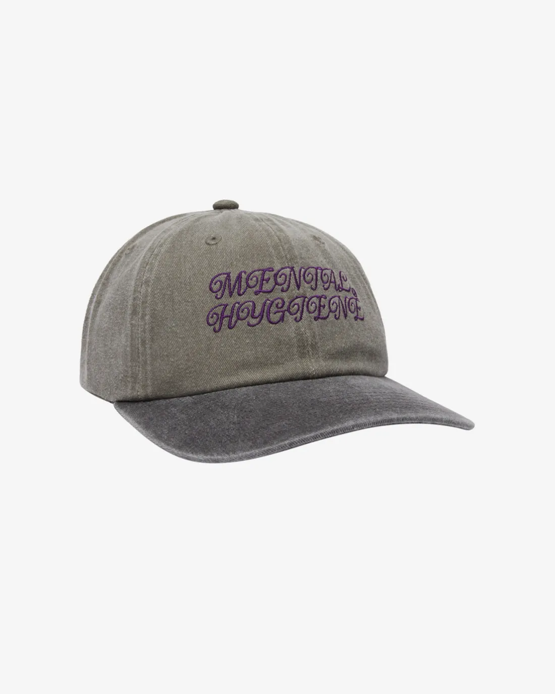 PIGMENT MENTAL 6 PANEL*OBEY Clothing Outlet